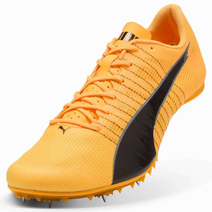 evoSPEED Future 6 Pist ve Saha Koşu Ayakkabıları evoSPEED Future 6 Pist ve Saha Koşu Ayakkabıları