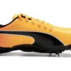 evoSPEED Hazırlık Sprint 3 “Sun Stream Black”
