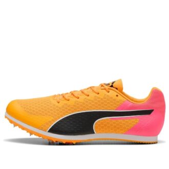 evoSPEED Star 9 “Güneş Akışı”