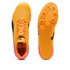 evoSPEED Star 9 “Güneş Akışı”