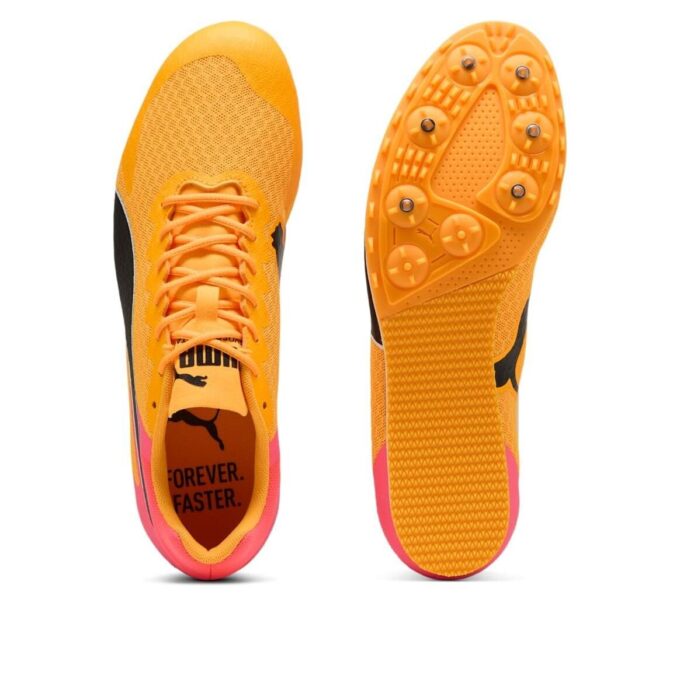 evoSPEED Star 9 “Güneş Akışı”