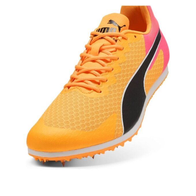evoSPEED Star 9 “Güneş Akışı”
