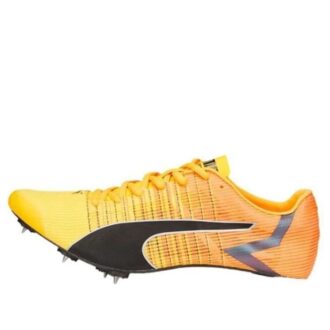 EvoSpeed  Tokyo Fırçası 4 “Turuncu”