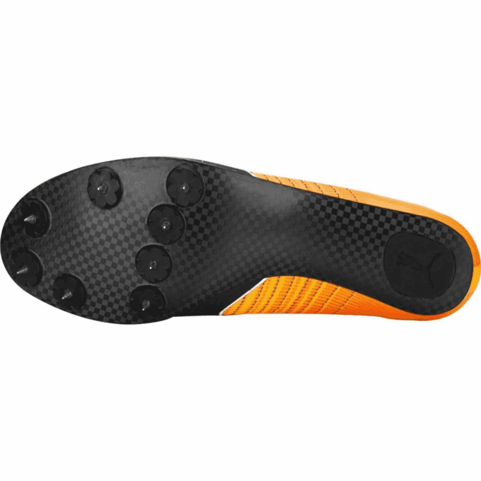 evoSpeed  Tokyo Future Faster “Sun Stream Sunset Glow”