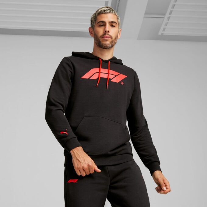 Formula 1® Motorsport Essentials Erkek Kapüşonlu Üst