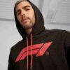Formula 1® Motorsport Essentials Erkek Kapüşonlu Üst