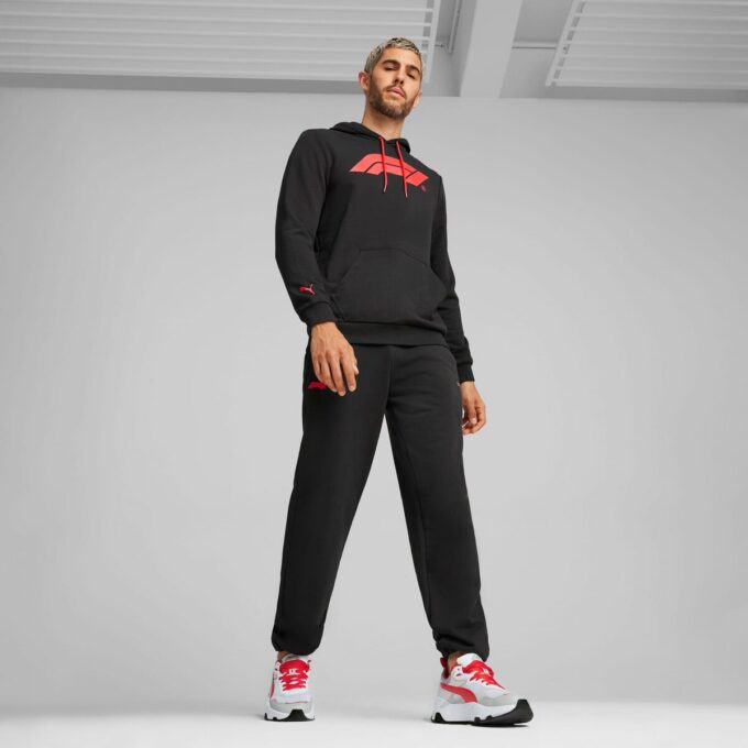 Formula 1® Motorsport Essentials Erkek Kapüşonlu Üst