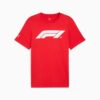 Formula 1® Motorsport Essentials Erkek Tişörtü