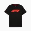 Formula 1® Motorsport Essentials Erkek Tişörtü