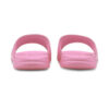 (GS) Popcat 20 “Pembe”