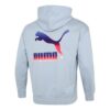 Logo Kapüşonlu Sweatshirt “Açık Mavi”