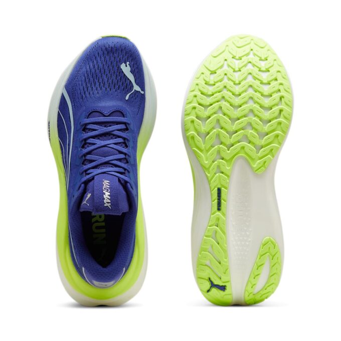 MagMax Nitro “Lapis Lazuli Mavisi”