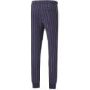 Pinstripe Casual Polar Astarlı Uzun Pantolon Mavi
