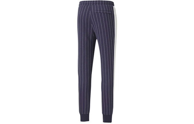 Pinstripe Casual Polar Astarlı Uzun Pantolon Mavi