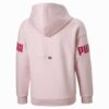 Power Pack Büyük Çocuklar İçin Renk Bloklu Kapüşonlu Sweatshirt Power Pack Büyük Çocuklar İçin Renk Bloklu Kapüşonlu Sweatshirt