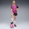 Premier League Brilliance Büyük Çocuk Futbol Şortu Premier League Brilliance Büyük Çocuk Futbol Şortu
