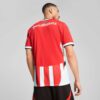 PSV Eindhoven 24/25 Erkek Replika İç Saha Futbol Forması