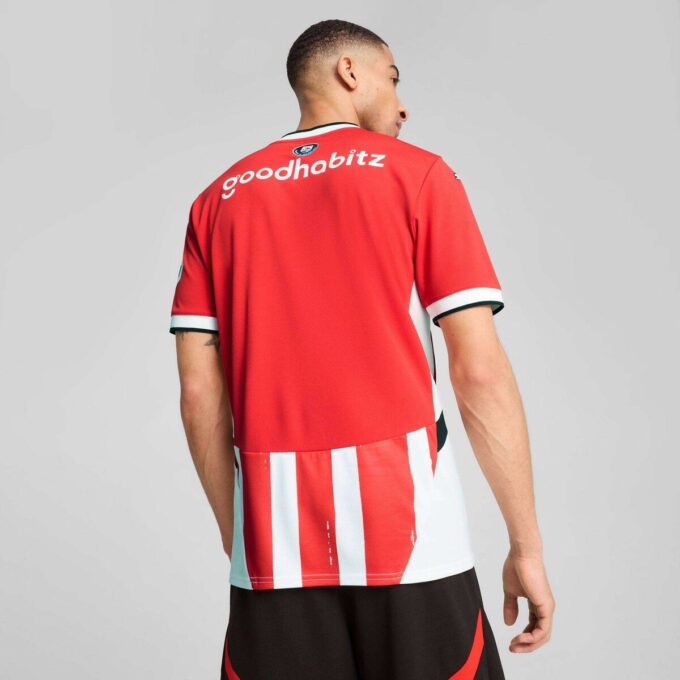 PSV Eindhoven 24/25 Erkek Replika İç Saha Futbol Forması