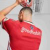 PSV Eindhoven 24/25 Erkek Replika İç Saha Futbol Forması