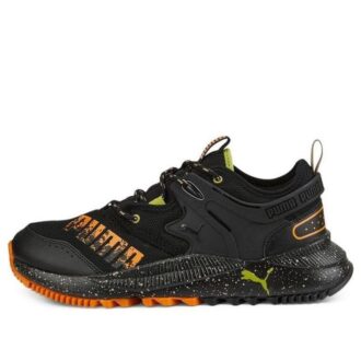 PUMA Pacer Geleceği