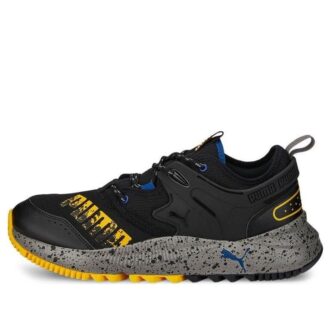 PUMA Pacer Geleceği