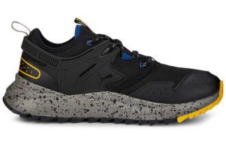 PUMA Pacer Geleceği