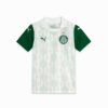 SE Palmeiras Torcedor ’25 Deplasman Büyük Çocuk Futbol Forması SE Palmeiras Torcedor ’25 Deplasman Büyük Çocuk Futbol Forması