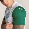 SE Palmeiras Torcedor ’25 Deplasman Erkek Futbol Forması SE Palmeiras Torcedor ’25 Deplasman Erkek Futbol Forması