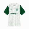 SE Palmeiras Torcedor ’25 Deplasman Erkek Futbol Forması SE Palmeiras Torcedor ’25 Deplasman Erkek Futbol Forması