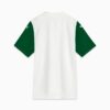 SE Palmeiras Torcedor ’25 Deplasman Erkek Futbol Forması SE Palmeiras Torcedor ’25 Deplasman Erkek Futbol Forması
