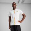 Senegal 2025 Erkek İç Saha Replika Futbol Forması