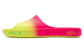 Shibui Cat Slide x Rick and Morty x LaMelo Ball “Maceraları”