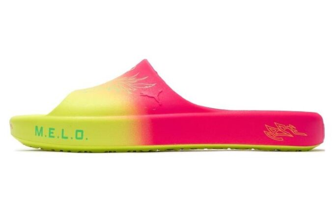 Shibui Cat Slide x Rick and Morty x LaMelo Ball “Maceraları”