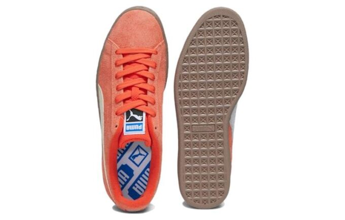 Suede NT “Sonbahar Yaprakları Kar Açık Gri”
