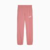 Basics Küçük Çocuklar İçin Polar Jogger Pantolonlar Basics Küçük Çocuklar İçin Polar Jogger Pantolonlar