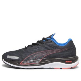 Velocity Nitro 2 “Black Fire Orchid Ultra Blue”