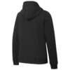 (WMNS) Amplified Hoodie “Siyah Altın”