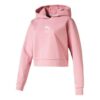(WMNS) Klasik Logolu Kapüşonlu Sweatshirt “Pembe”